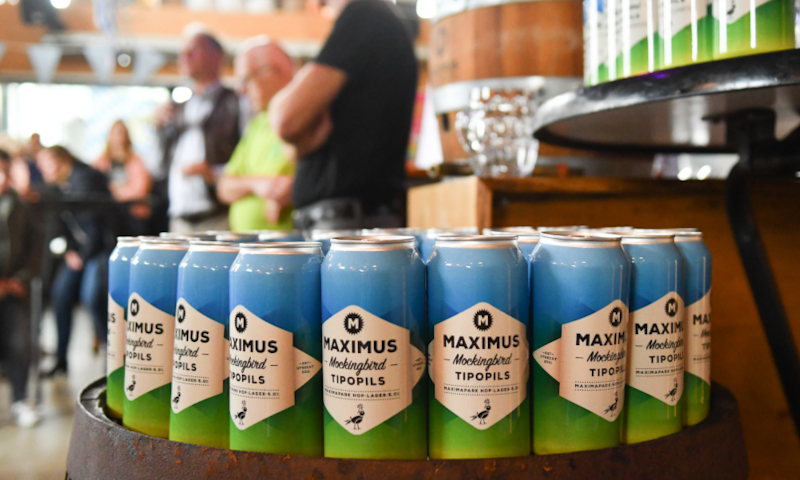 Mockingbird 2021 blikken